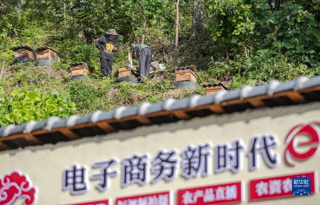 百老汇官网注册送